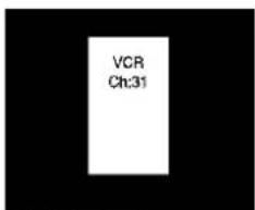 VCR Ch:31