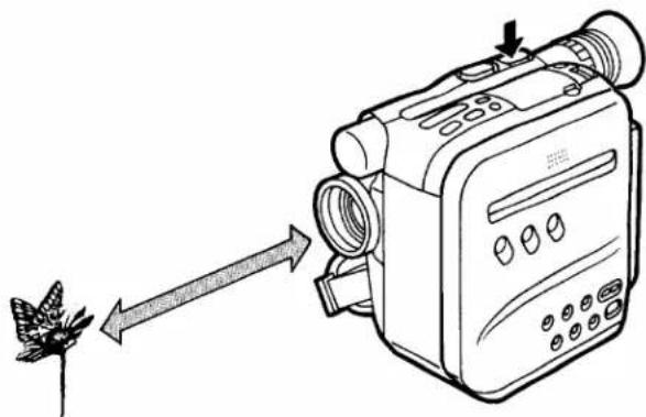 PANASONIC NV-S1B - Macro Close-Up - 1