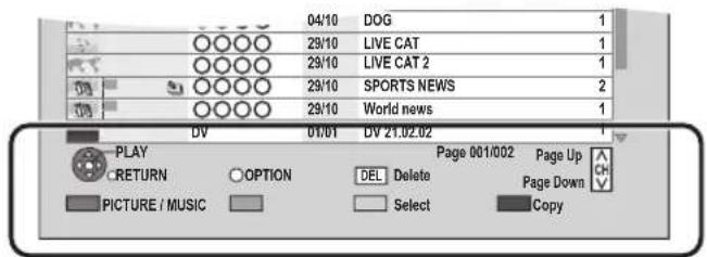 04/10 DOG 1 29/10 LIVE CAT 1 29/10 LIVE CAT 2 1 29/10 SPORTS NEWS 2 29/10 World news 1 DV 01/01 DV 21.02.02 PLAY RETURN OPTION DEL Delete Page 001/002 Page Up PICTURE / MUSIC Select Copy Page Down