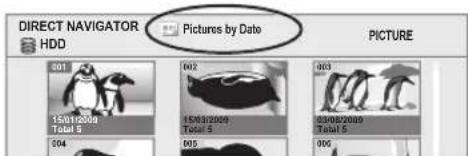 DIRECT NAVIGATOR HDD Pictures by Date PICTURE 001 15/01/2004 Total 5 004 002 15/03/2009 Total 5 005 003 15/06/2010 Total 5 006