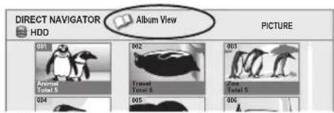 DIRECT NAVIGATOR HDD Album View PICTURE 001 002 003 Animal Total 5 Travel Total 5 Zoot Total 5 004 005 006
