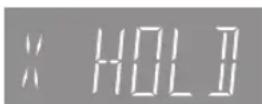 PANASONIC DMR-XS380 - HOLD function - 1