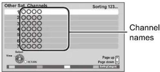 Other Sat Channels Sorting 123... 1 2 3 4 5 6 7 Select View RETURN Page up Page down SortingCategory