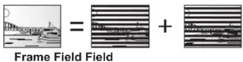 Frame Field Field =