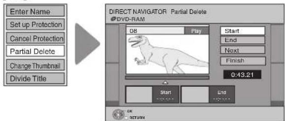 Enter Name Set up Protection Cancel Protection Partial Delete Change Thumbnail Divide Title DIRECT NAVIGATOR Partial Delete DVD-RAM 08 Play Start End Next Finish 0:43.21 Start End OK RETURN