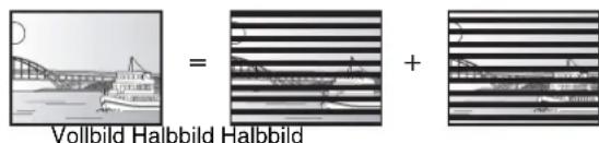 Vollbild Halbbild Halbbild