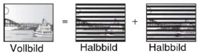 Vollbild = Halbbild + Halbbild
