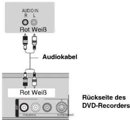 AUDIO IN R L Rot Weiß Audiokabel Rot Weiß Rückseite des DVD-Recorders