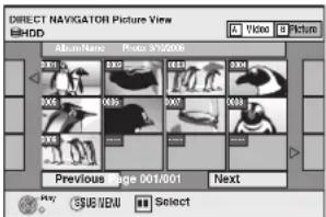 DIRECT NAVIGATOR Picture View BHDD Movie/News Photo 001/002 Previous Page 001/001 Next View SUB VIEW Select