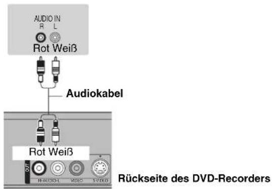AUDIO IN R L Rot Weiß Audiokabel Rot Weiß Rückseite des DVD-Recorders