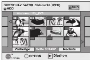 DIRECT NAVIGATOR Bildansicht (JPEG) HDD Microscope 103_DVD X00.15 X00.25 X00.35 X00.45 Vorherige Selle 001/001 Nächste OPTION Dlashow