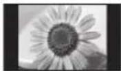 PANASONIC TX-P50U30B - Do not display a still picture for a long time - 1