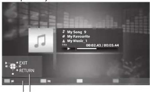 PANASONIC TX-P50U30B - Playback from File view - 9
