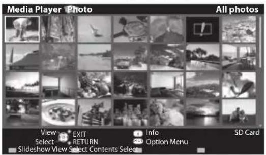 PANASONIC TX-P50U30B - Photo mode - 2
