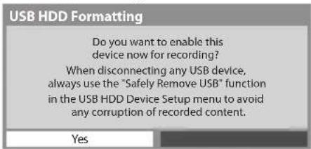 PANASONIC TX-P50GT30B - Confirmation to enable USB HDD for recording - 1