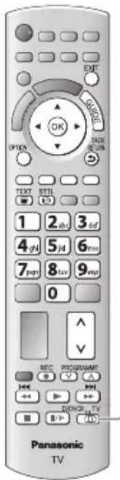 PANASONIC TX-P50GT30B - Operate the menu of the equipment - 1