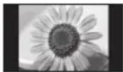 PANASONIC TX-P50GT30B - Do not display a still picture for a long time - 1