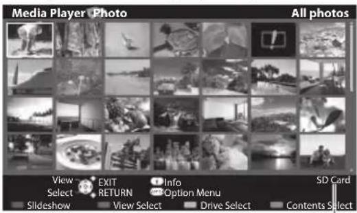 PANASONIC TX-P50GT30B - Photo mode - 4