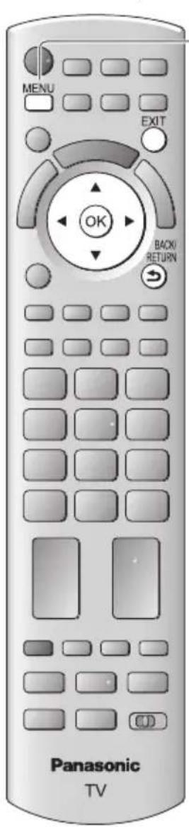 PANASONIC TX-P50GT30B - Input Labels - 1