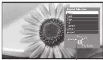 PANASONIC TX-P50GT30B - Display Aspect Selection list - 2