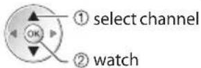 PANASONIC TX-P50GT30B - While the banner is displayed, select the channel - 1