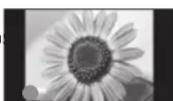 PANASONIC TX-P50C2B - Do not display a still picture for a ■ long time - 1