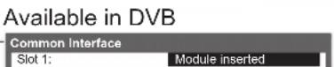 PANASONIC TX-P50C2B - VIERA Main Menu - 23