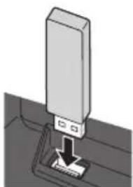 PANASONIC TX-P46GTS31 - Zum Einführen oder Entnehmen der SD-Karte / des USB-Flash-Speichers - 1