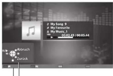 PANASONIC TX-P46GTS31 - Für Musikdateien - 1