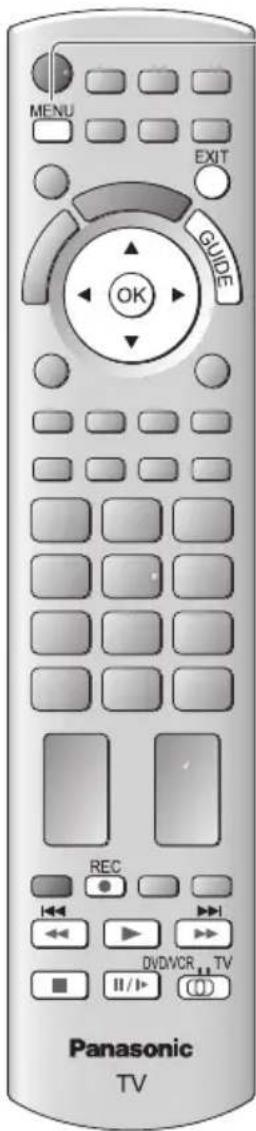 PANASONIC TX-P46GTF32 - Aufnahme von Fernsehprogrammen auf die USB-Festplatte - 1