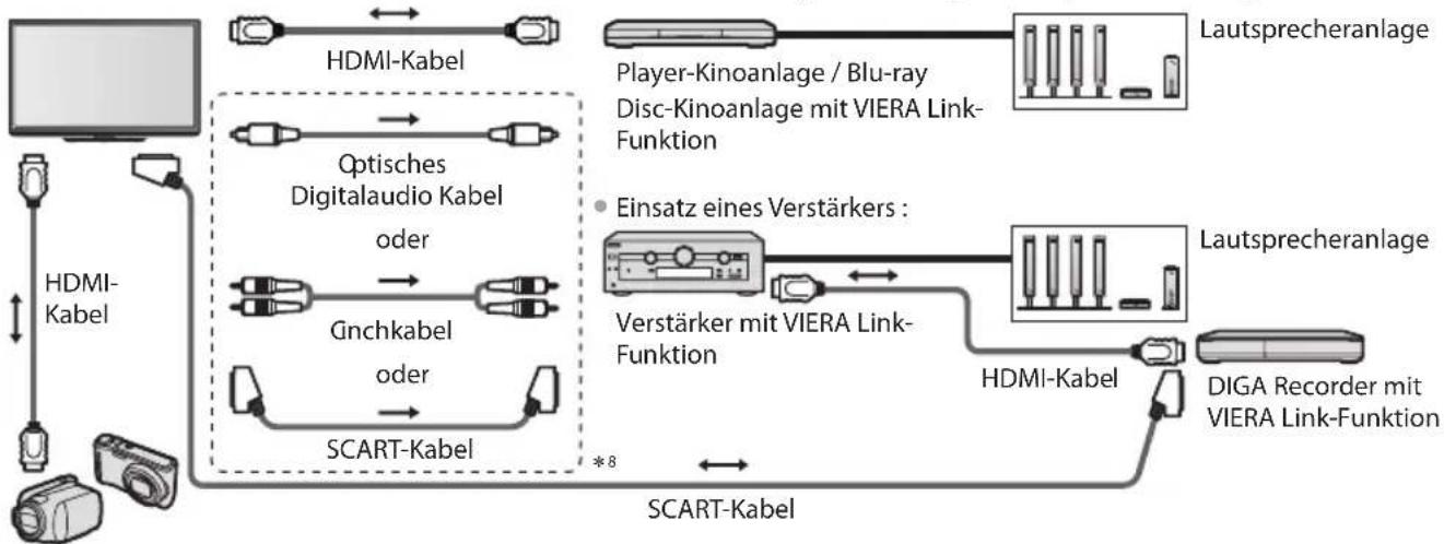 PANASONIC TX-P46GTF32 - Übersicht über die Q-Link- und VIERA Link-Funktionen - 9