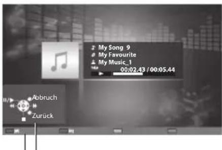 PANASONIC TX-P46GTF32 - Für Musikdateien - 1