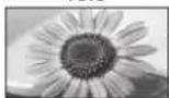 PANASONIC TX-P46G15B - If you would like to change the aspect ratio manually ■ - 7
