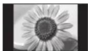 PANASONIC TX-P46G15B - Do not display a still picture for a long time - 1