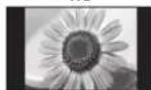 PANASONIC TX-P46G15B - If you would like to change the aspect ratio manually ■ - 8