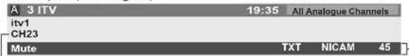 PANASONIC TX-P46G15B - Display Information banner - 5
