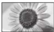 PANASONIC TX-P42S31B - While the list is displayed, select the mode - 5