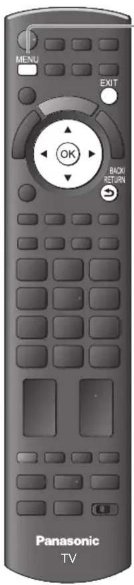 PANASONIC TX-P42S31B - Input Labels - 1