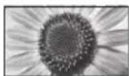 PANASONIC TX-P42S31B - While the list is displayed, select the mode - 9