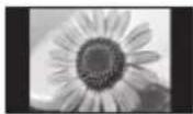 PANASONIC TX-P42S31B - Do not display a still picture for a long time - 1