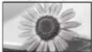 PANASONIC TX-P42S31B - While the list is displayed, select the mode - 3