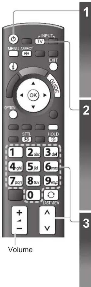 PANASONIC TX-P42S31B - Watching TV - 1