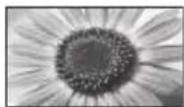PANASONIC TX-P42S31B - While the list is displayed, select the mode - 7