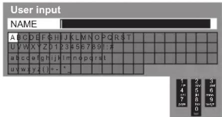 PANASONIC TX-P42S31B - Enter your name, house number and postcode - 1