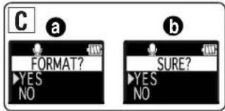 C a FORMAT? YES NO SURE? YES NO