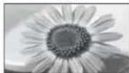 PANASONIC Viera TX-L42U2L - If you would like to change the aspect ratio manually - 7
