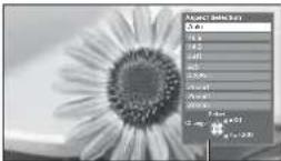 PANASONIC Viera TX-L42U2L - If you would like to change the aspect ratio manually - 2