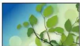 PANASONIC Viera TX-49FSR500 - Information - 2