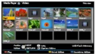 PANASONIC Viera TX-49DSR500 - Information - 1