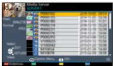 PANASONIC Viera TX-49DSR500 - Using DLNA - 1